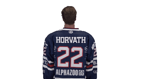 Ice Hockey Sport Sticker by Fehervar AV19