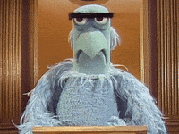 muppetwiki side eye eyebrows muppets concerned GIF