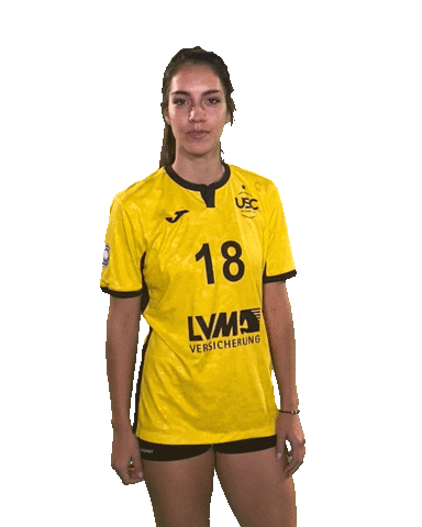 USC_Muenster lets go ball volleyball vbl Sticker