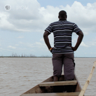 POVdocs pbs povdocs therescuelist rescuelist GIF
