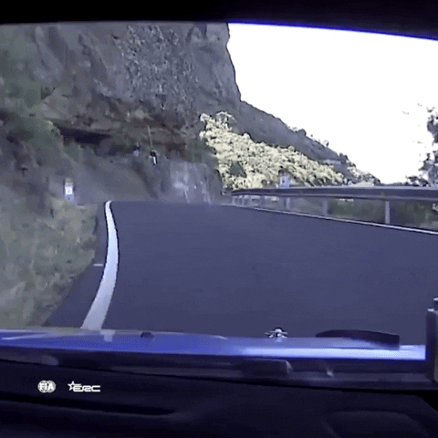Spped Driving GIF by FIA European Rally Championship