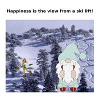 Skiing GIF