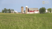 the incredible dr pol season 12 episode 6 GIF by Nat Geo Wild 