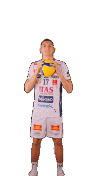 Volleyball Superlega Sticker by Trentino Volley