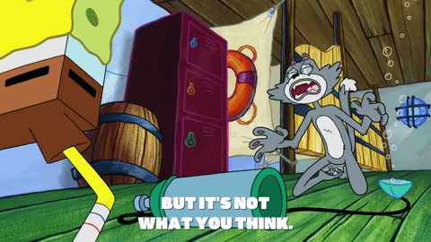 season 9 episode 10 GIF by SpongeBob SquarePants