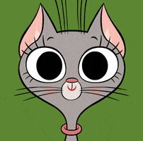 ZipZipOfficial happy cat yes good GIF