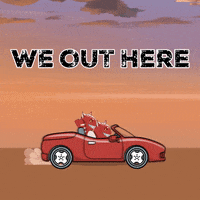 Cat Love GIF by Kitaro World