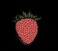 bauerschwaller strawberry farmer rotation bauer GIF