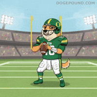 Looking College Football GIF by Doge Pound