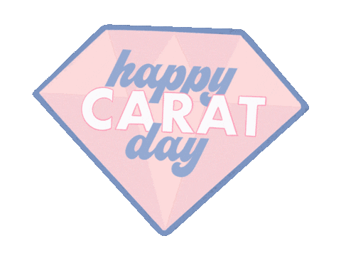 세븐틴 Carat Sticker