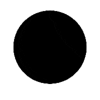 Extensions Theexperience Sticker by Covet & Mane