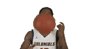 Western Connecticut State University Basketball Sticker by WCSU