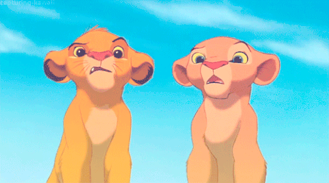 Lion King What GIF