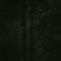 VanaheimEpicFolkmetal tyr twilight force folkmetal vanaheim GIF