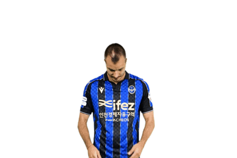 Football Soccer Sticker by Incheon United FC