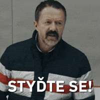 Shame Hokej GIF by Seznam.cz