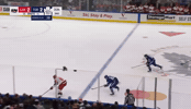 Carolina Hurricanes GIF