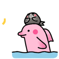 Dolphin Yes Sticker by CGTN V-Studio