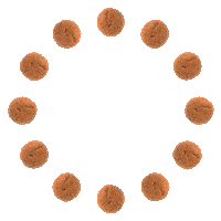 ikwilbolletje sinterklaas pakjesavond intocht pepernoten Sticker