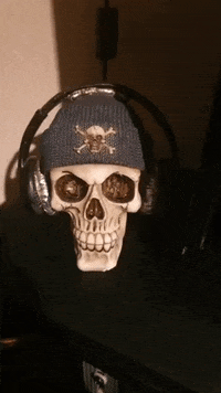 DreckderStadt music rap hiphop dds GIF