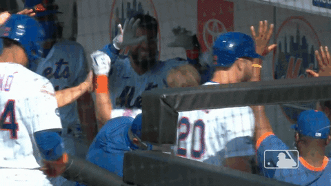 High Five Ny Mets GIF by New York Mets