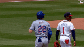 Happy Ny Mets GIF by New York Mets