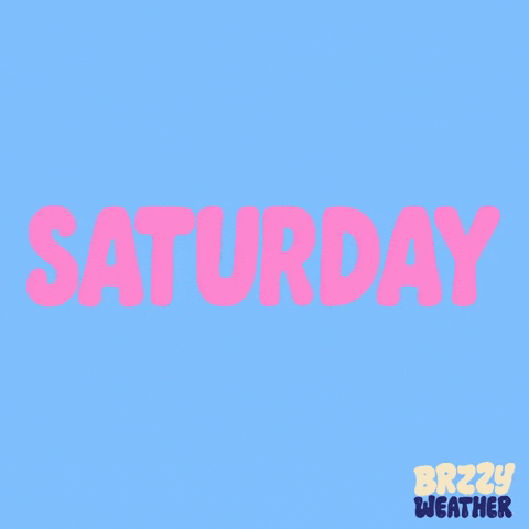 Saturday Morning Snl GIF by Brzzy