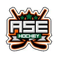 asehockey welivehockey asehockey ase hockey ase hockey shop Sticker