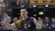 champions league celebration GIF by EHF