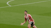 happy celebration GIF by Southampton FC