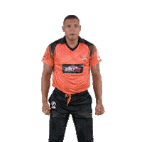 Celebrating Port Elizabeth Sticker by Sunrisers Eastern Cape