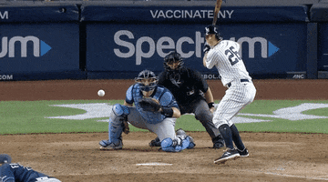 Angry New York Yankees GIF by Jomboy Media