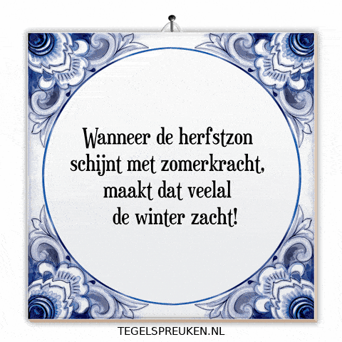 Winter Humor GIF by Tegelspreuken.nl