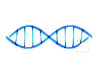 ipmontevideo science dna ciencia adn Sticker