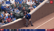 Happy Major League Baseball GIF