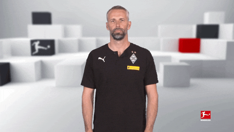 Line Up Reaction GIF by Bundesliga