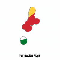 Flag Bandera GIF by Formación Ninja