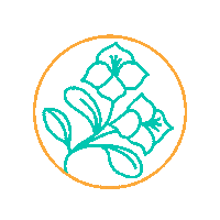 Brand Bikini Sticker by Halia & Jade