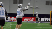 warriorlax warriorlax GIF