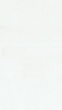 Spongebob GIF by Youtooz