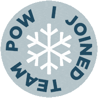 Climate Change Snow Sticker by Protect Our Winters Switzerland