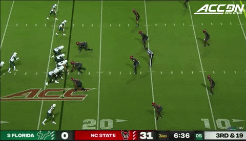 therealessad giphygifgrabber interception nc state GIF