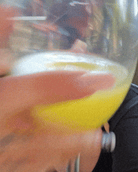Cheers Drinks GIF