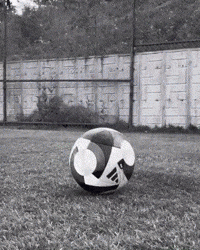 Filip Ozobic GIF