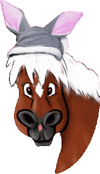 Bunny Horse Sticker by Glamour by Reitsport SIBO