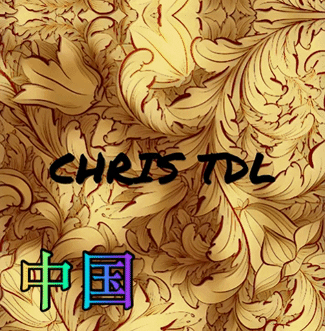 Chris_TDL_China giphygifmaker china chris tdl 中国 GIF
