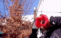Youngstuntr GIF