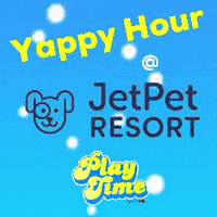 Jetpetresort  GIF