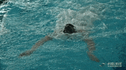 pool swimming GIF by GreenWave