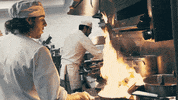 collegeoflakecounty food school college education GIF